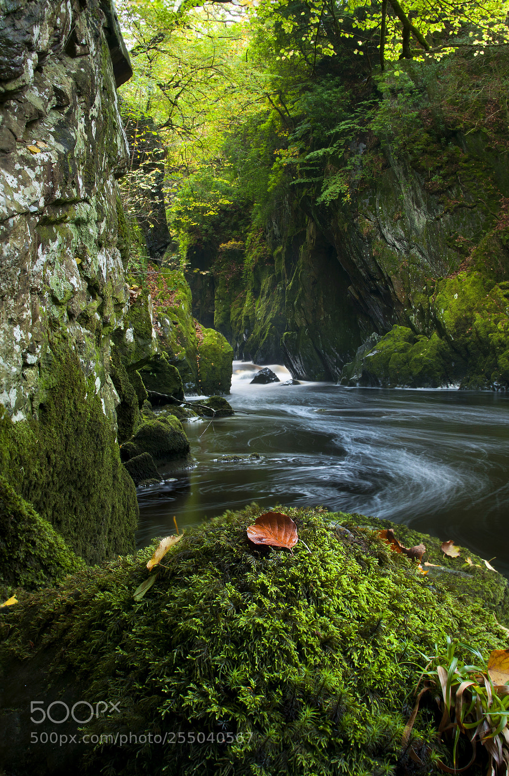 Nikon D90 sample photo. Fairy glen photography
