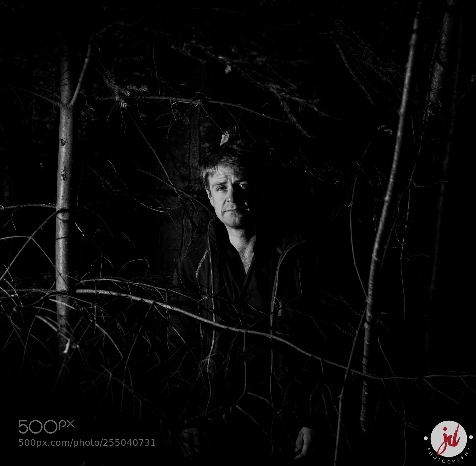 Nikon D7200 sample photo. Out of the woods photography
