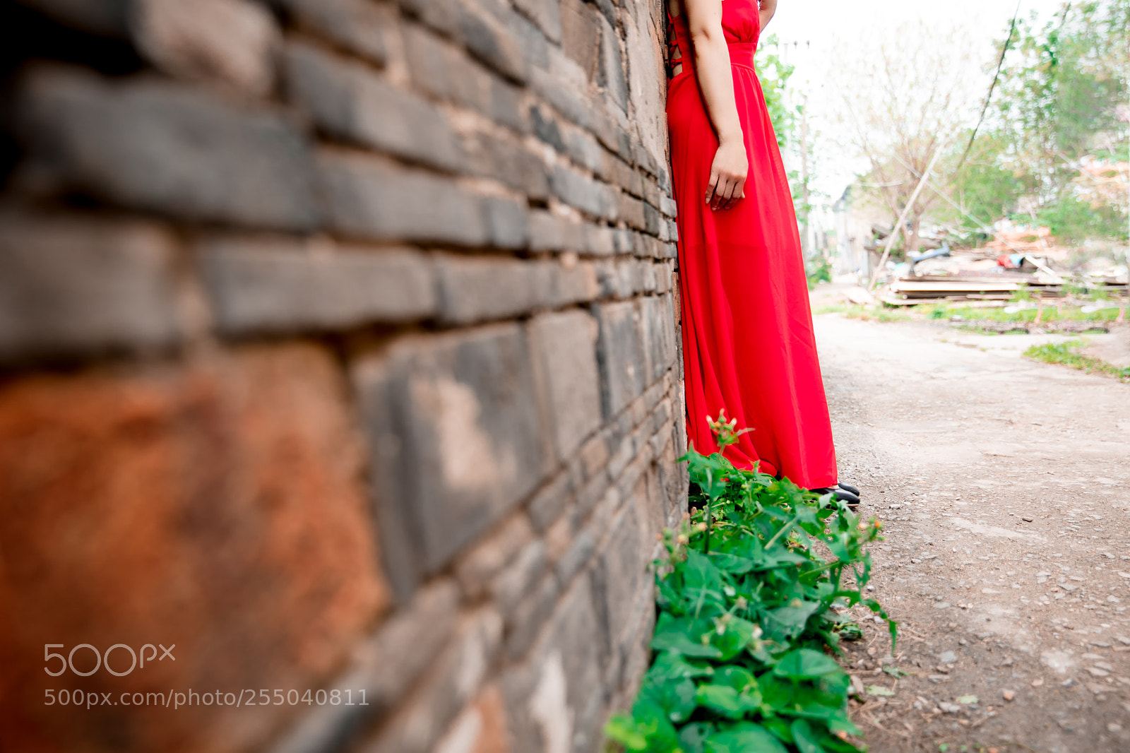 Canon EOS 5DS R sample photo. Untitled photography