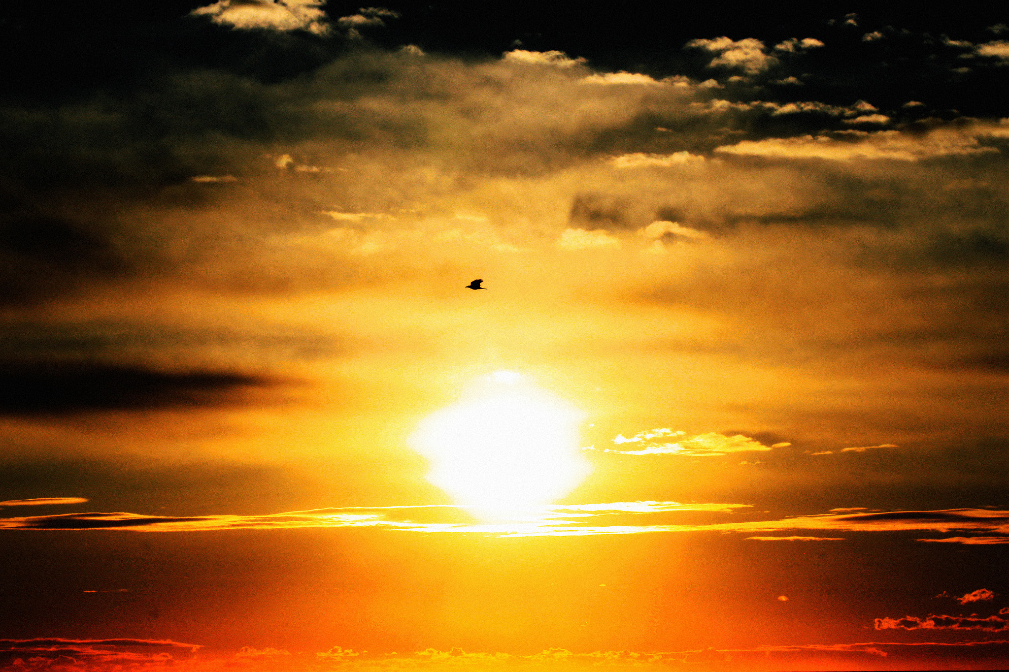 Canon EOS 500D (EOS Rebel T1i / EOS Kiss X3) sample photo. Sunrise photography