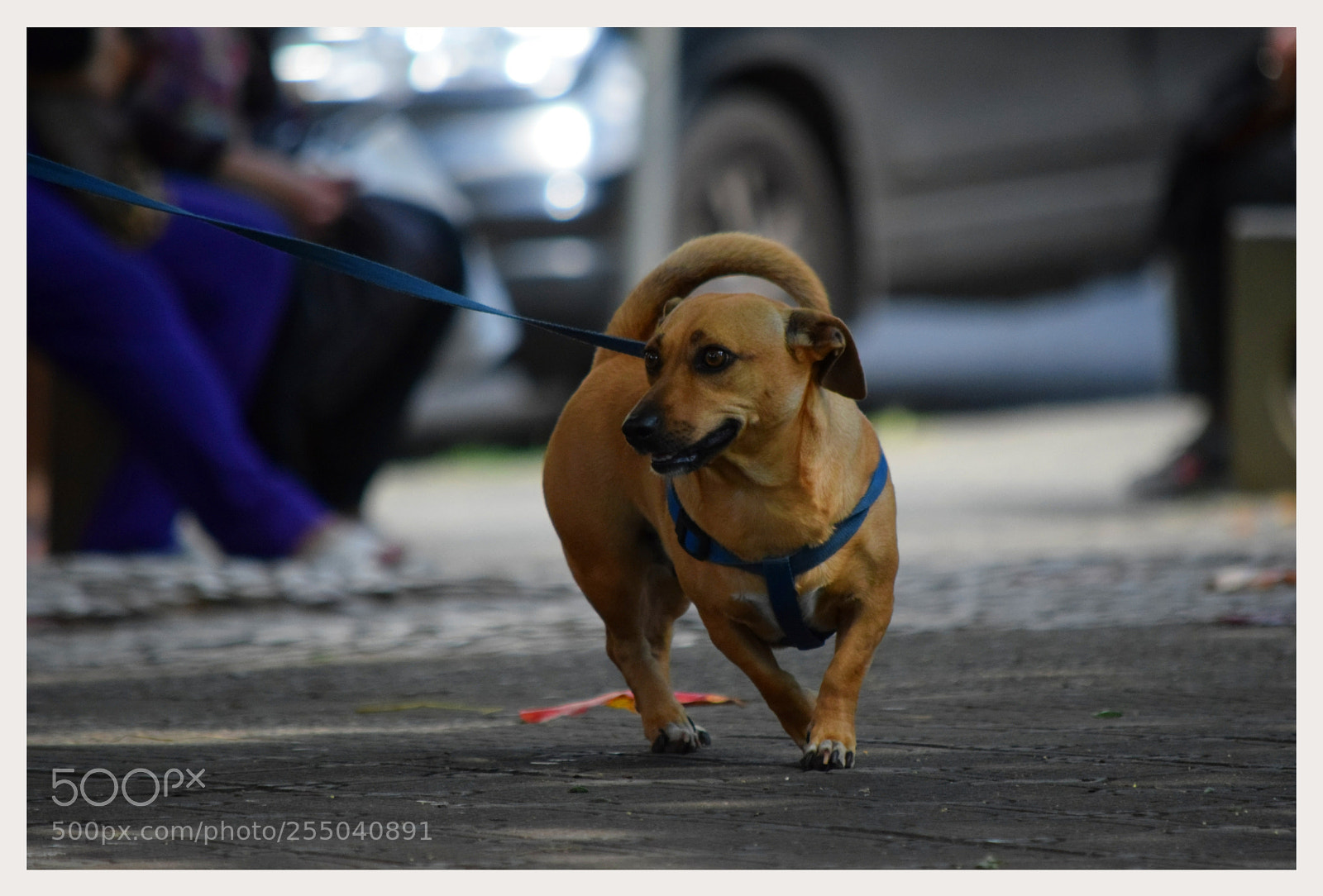 Nikon D5300 sample photo. Untitled photography