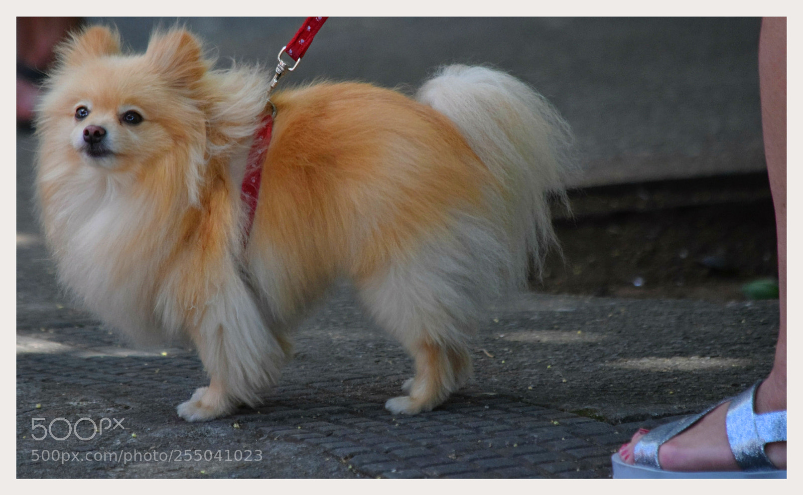 Nikon D5300 sample photo. Untitled photography