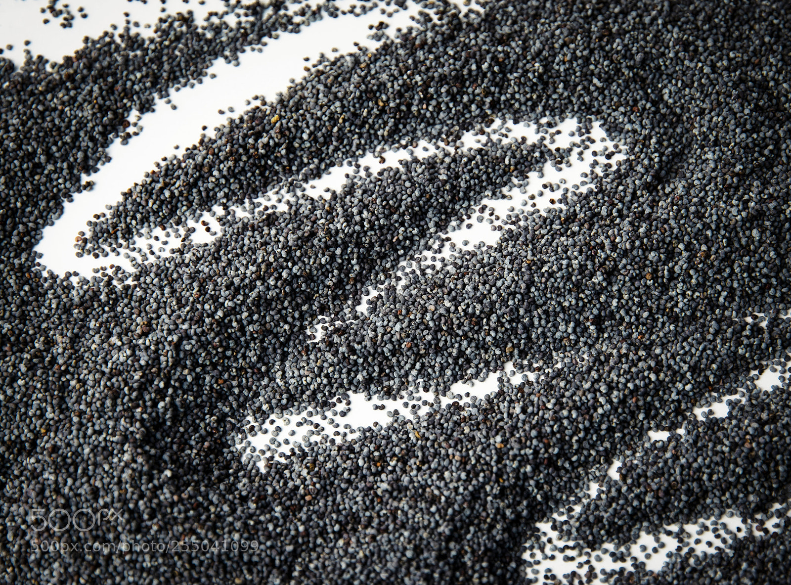 Nikon D5500 sample photo. Background of poppy seed photography