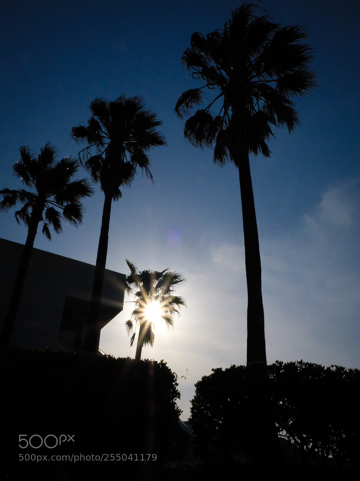 Fujifilm X-T20 sample photo. Yokosuka photography