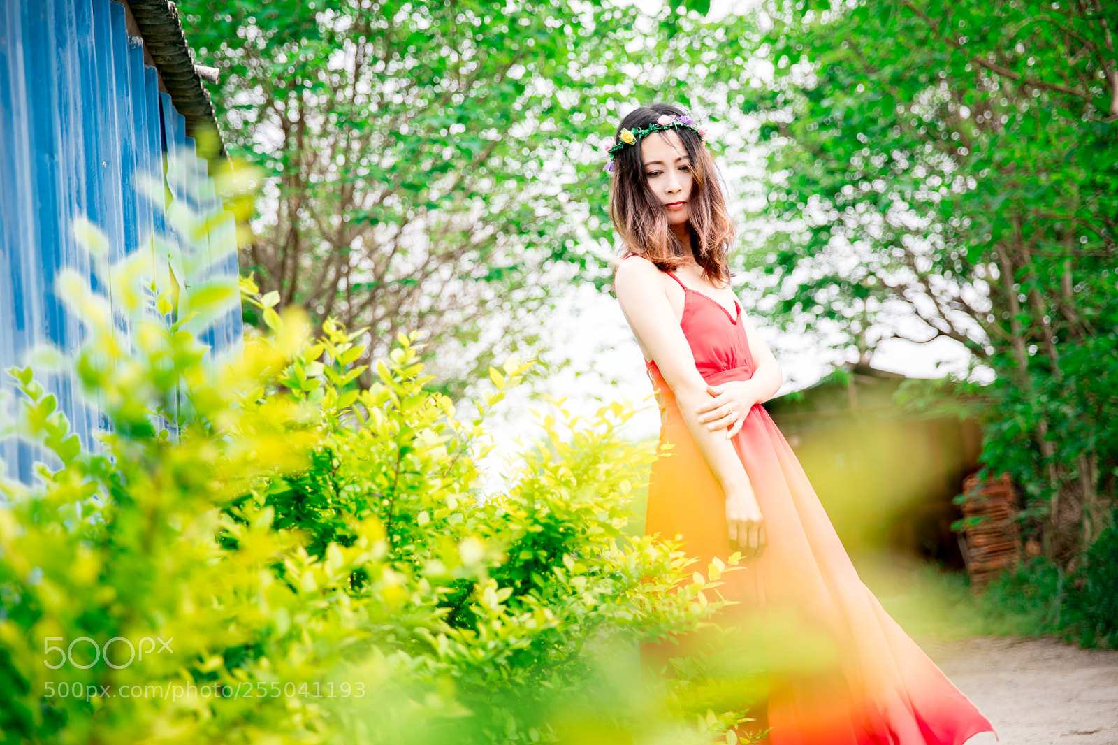 Canon EOS 5DS R sample photo. Untitled photography
