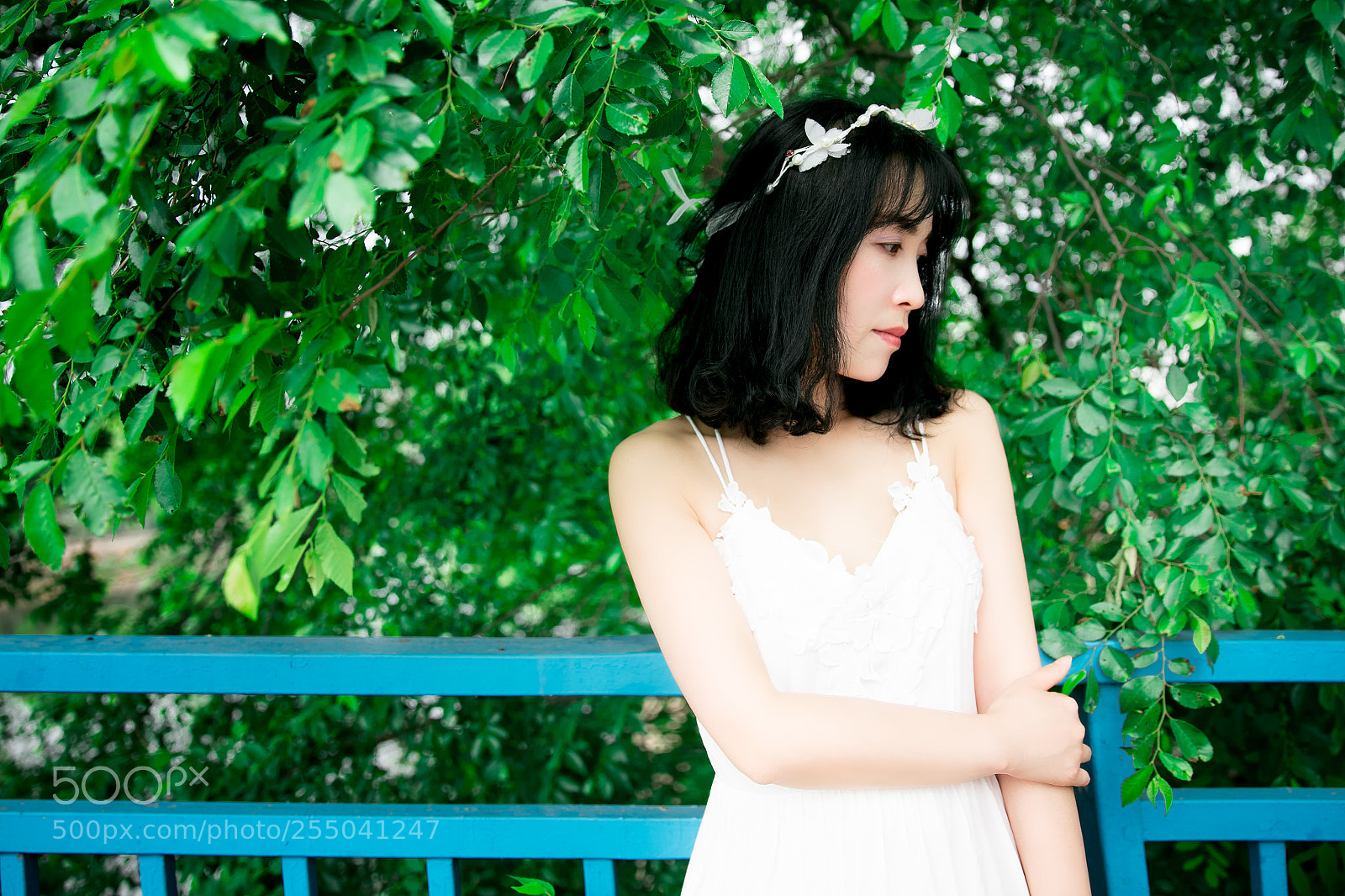 Canon EOS 5DS R sample photo. Untitled photography