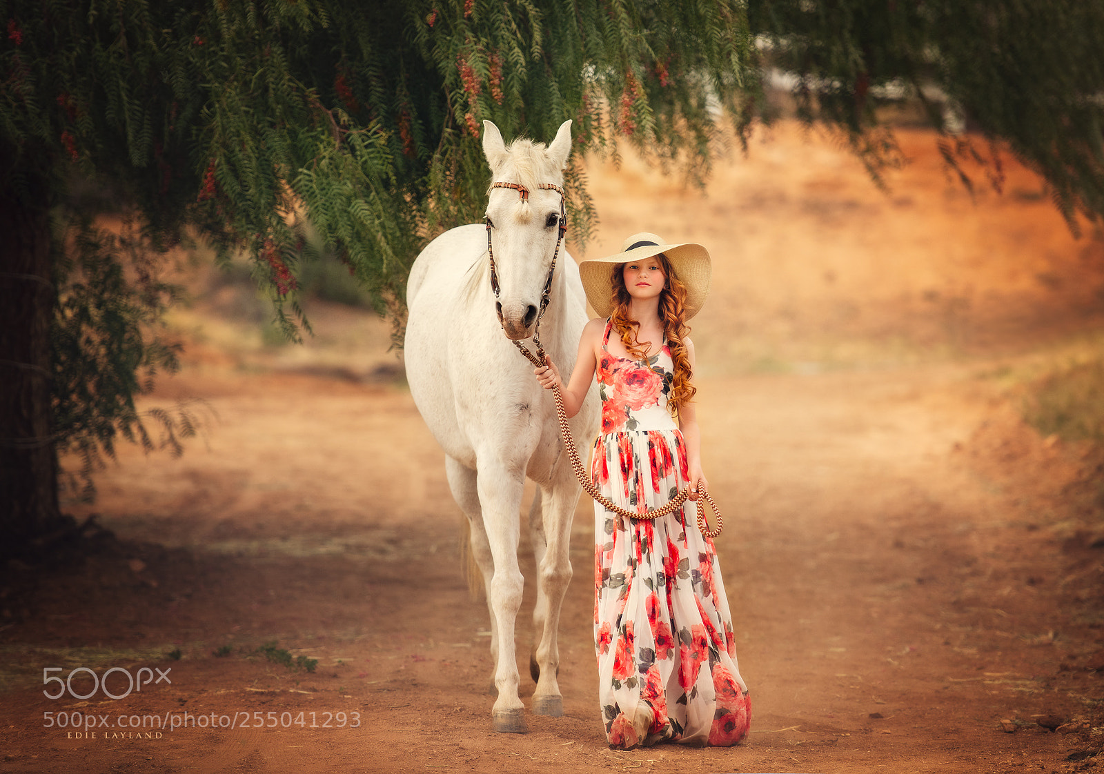 Nikon D850 sample photo. Country fashion runway photography