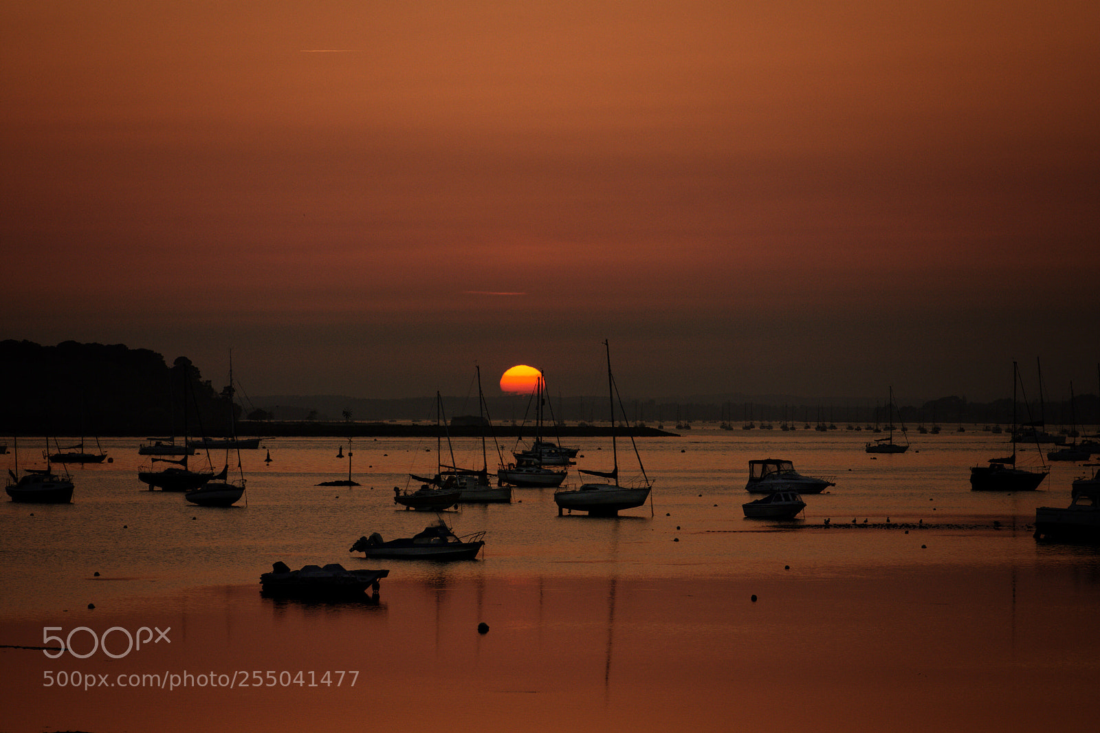 Nikon D7200 sample photo. A calm marina  photography