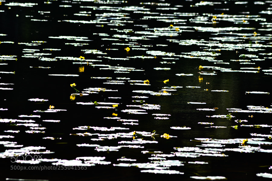 Nikon D3100 sample photo. Lenta dissolvenza del sogno photography