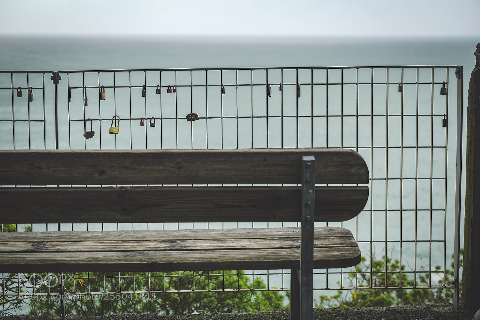 Fujifilm X-T10 sample photo. Ambience photography