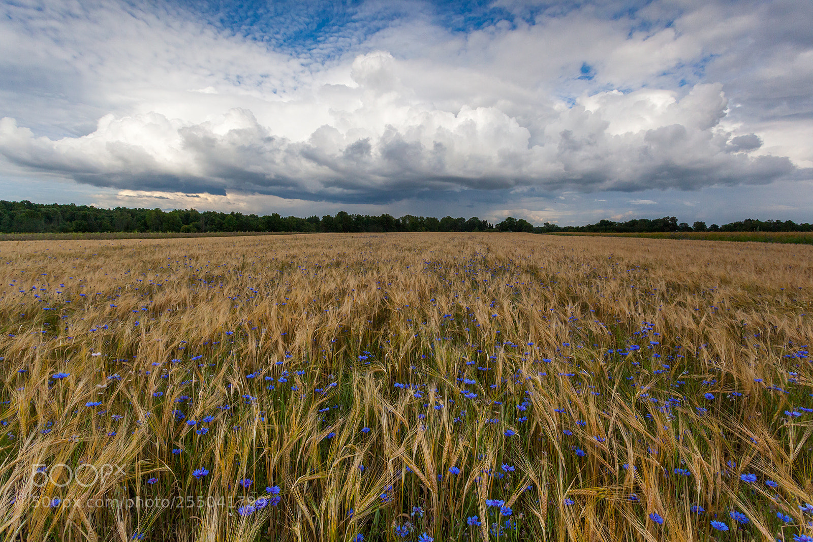 Canon EOS 5D Mark II sample photo. Sky photography