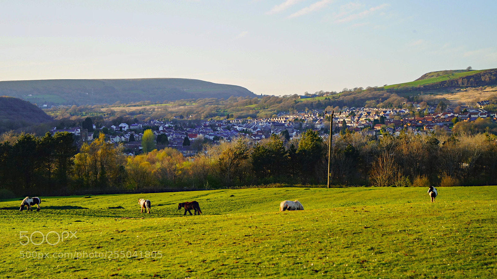 Sony SLT-A58 sample photo. Village view photography