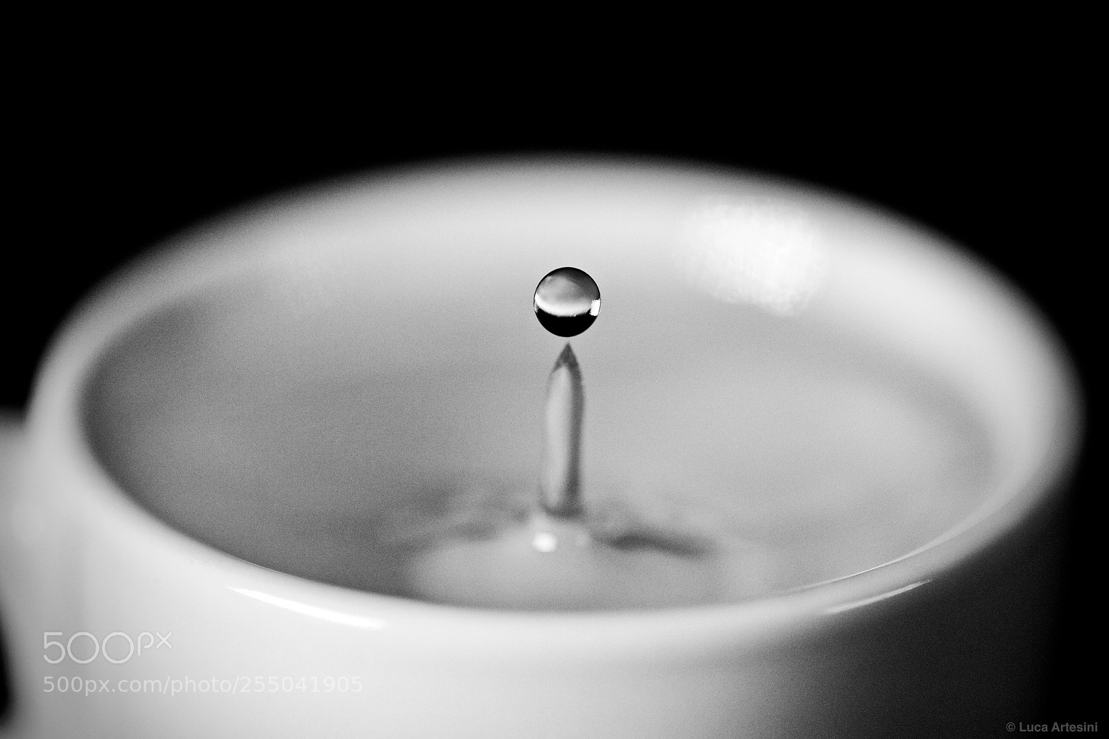 Canon EOS 5D Mark IV sample photo. Water drop photography
