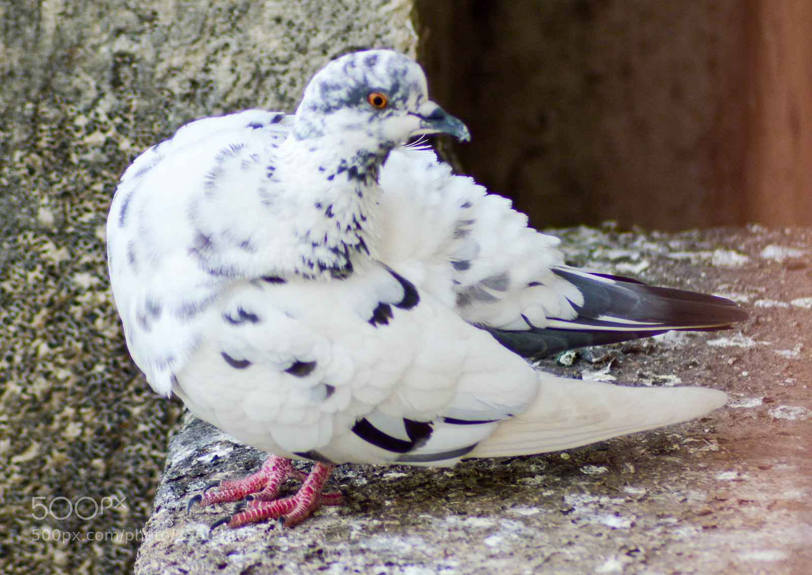 Nikon D3200 sample photo. Salt n pepper photography