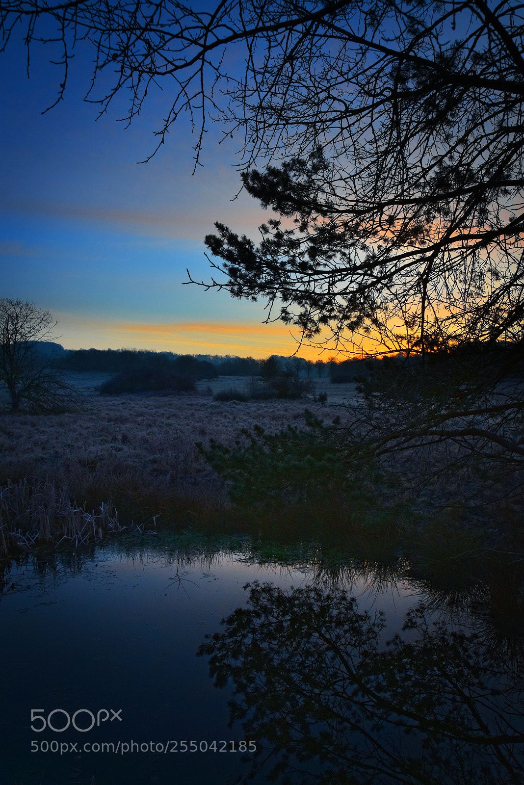 Nikon D7200 sample photo. Just before sunrise photography