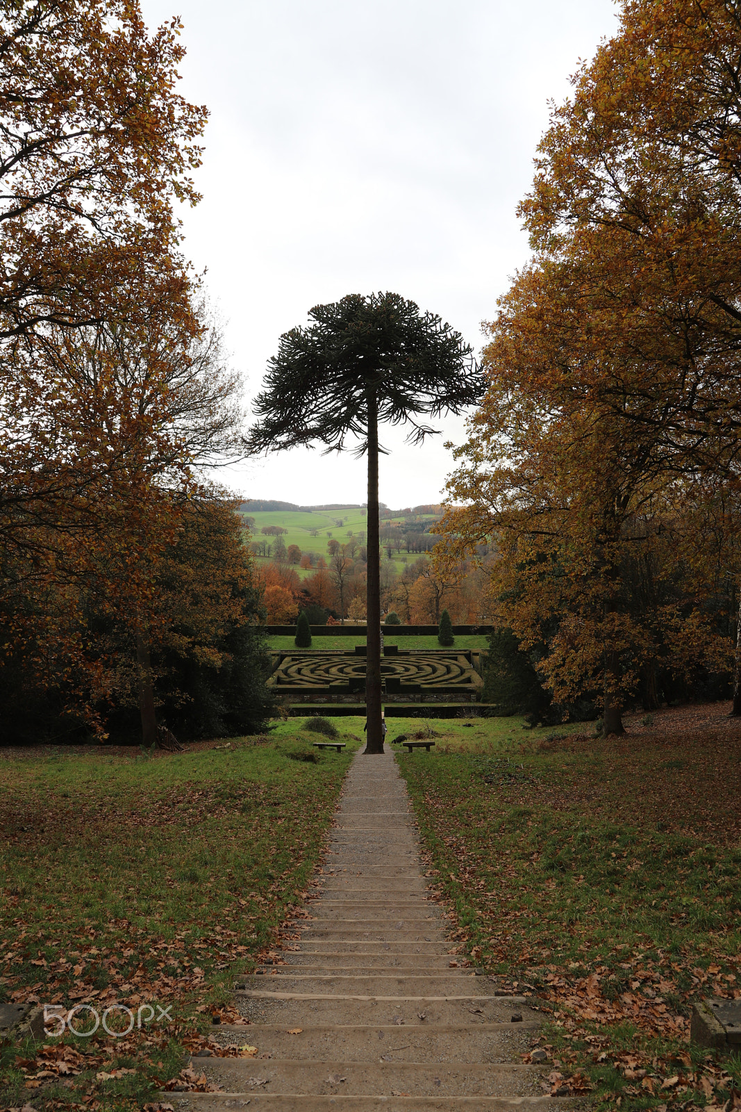 Canon EOS 6D Mark II sample photo. Chatsworth house, bakewell, derbyshire. photography