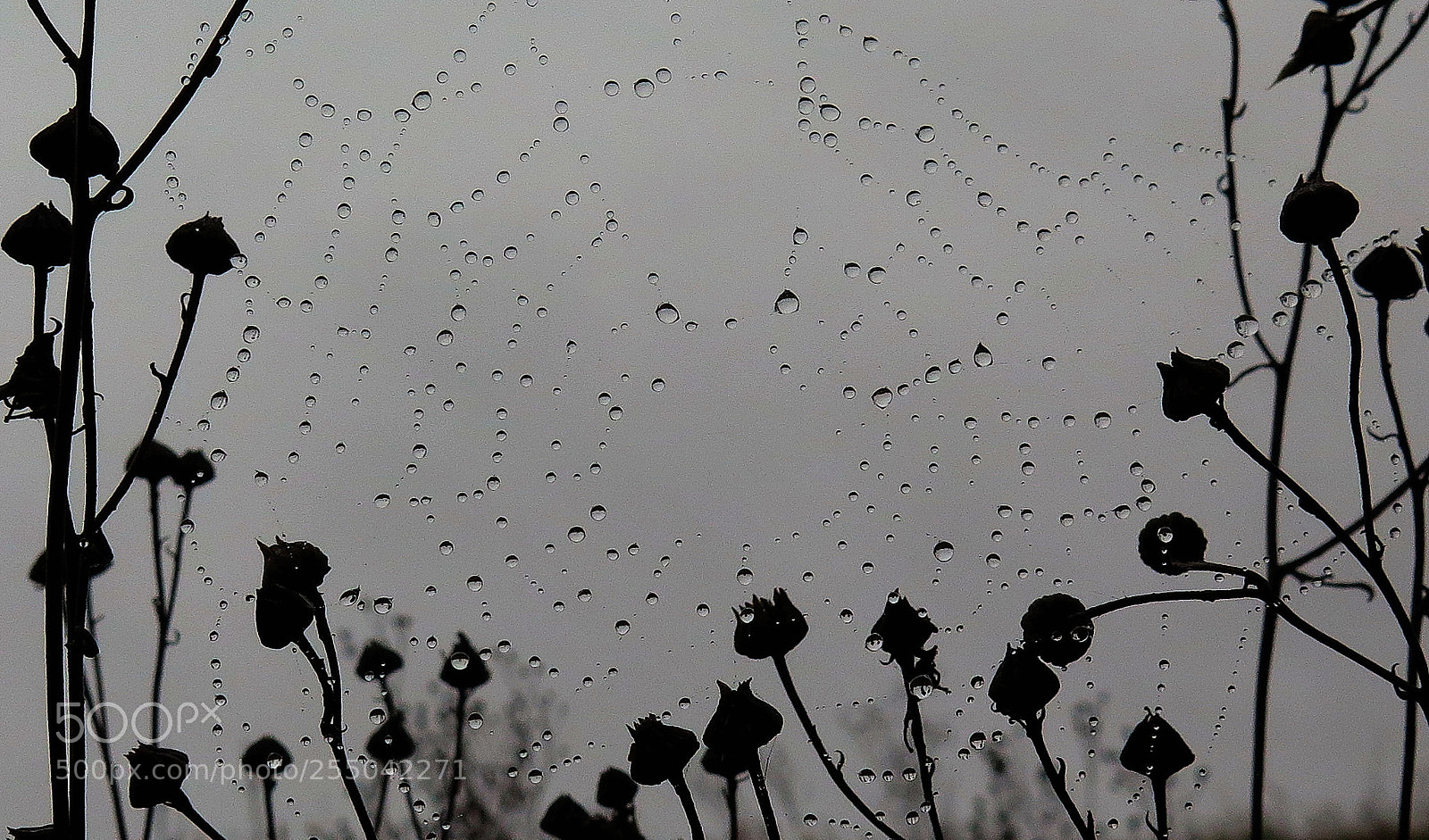 Canon PowerShot G16 sample photo. Autumn motifs photography