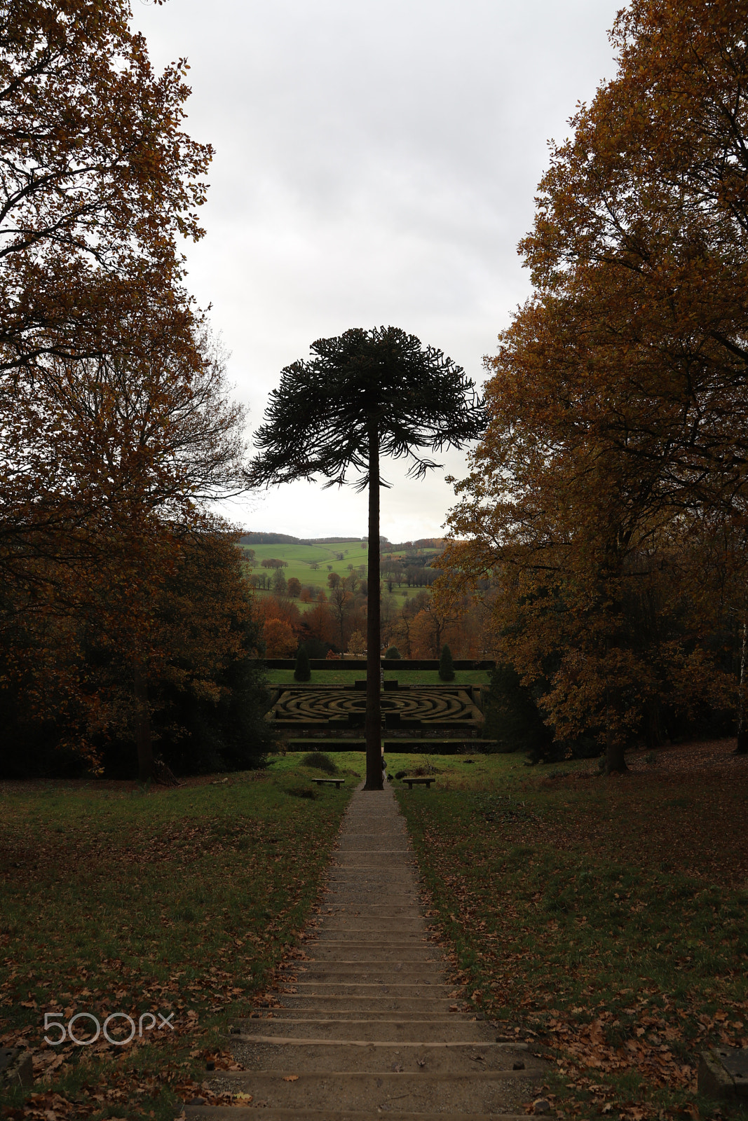 Canon EOS 6D Mark II sample photo. Chatsworth house, bakewell, derbyshire. photography