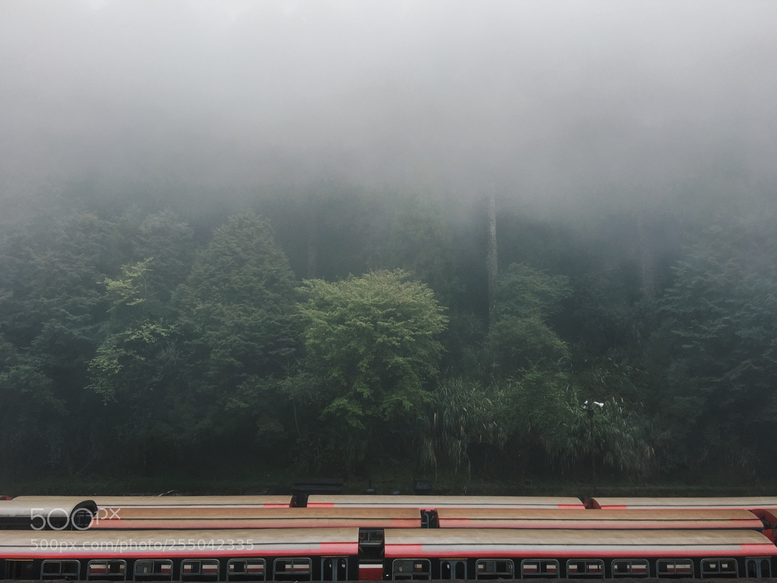 Apple iPhone 6s Plus sample photo. 台灣 阿里山車站 photography