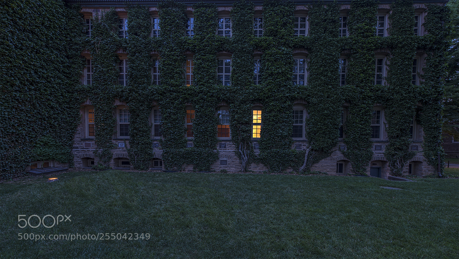 Nikon D800 sample photo. Window photography