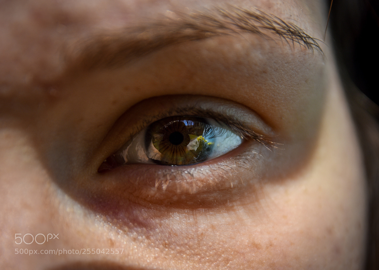 Nikon D5500 sample photo. Eye photography