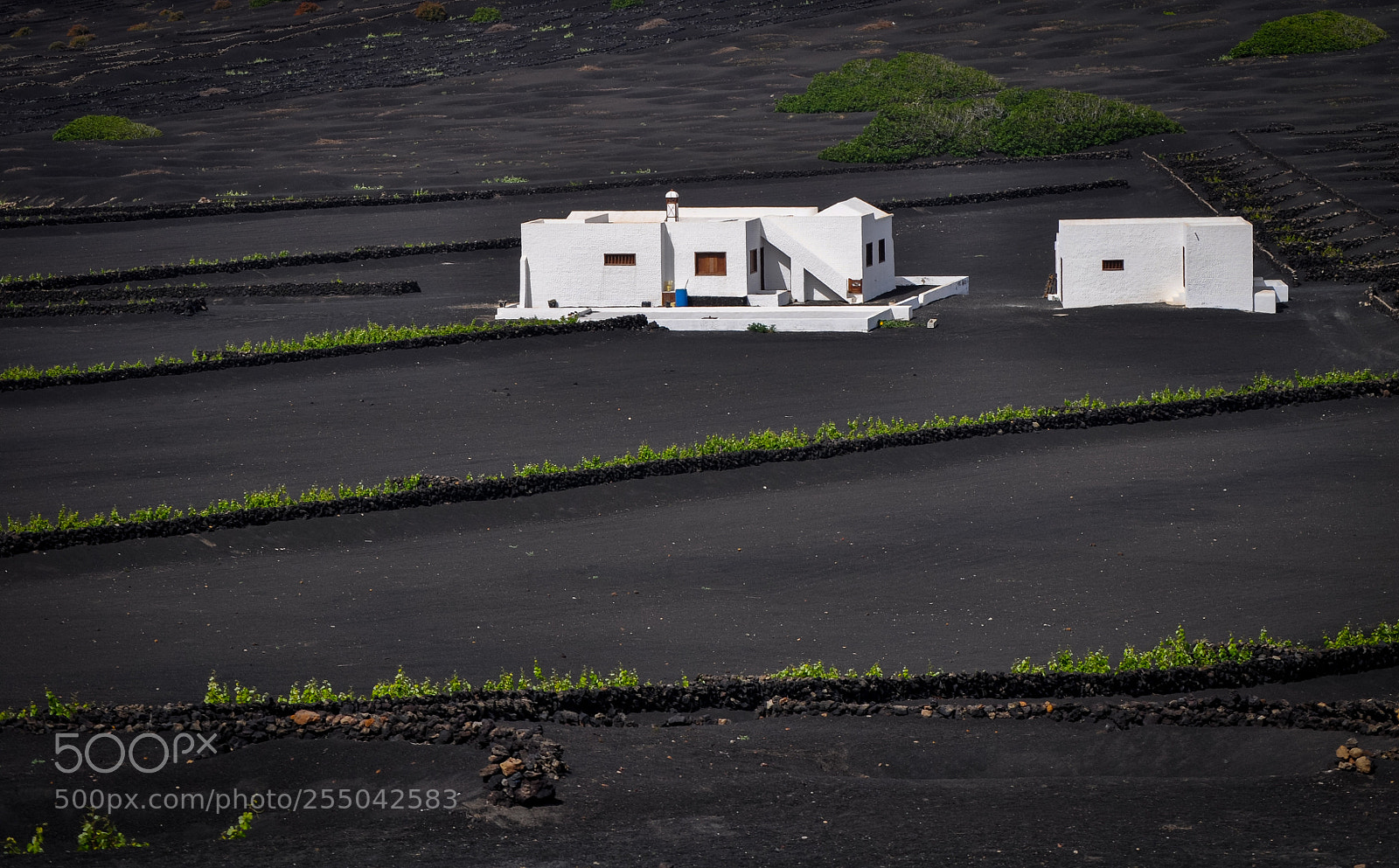 Nikon D5000 sample photo. Lanzarote photography