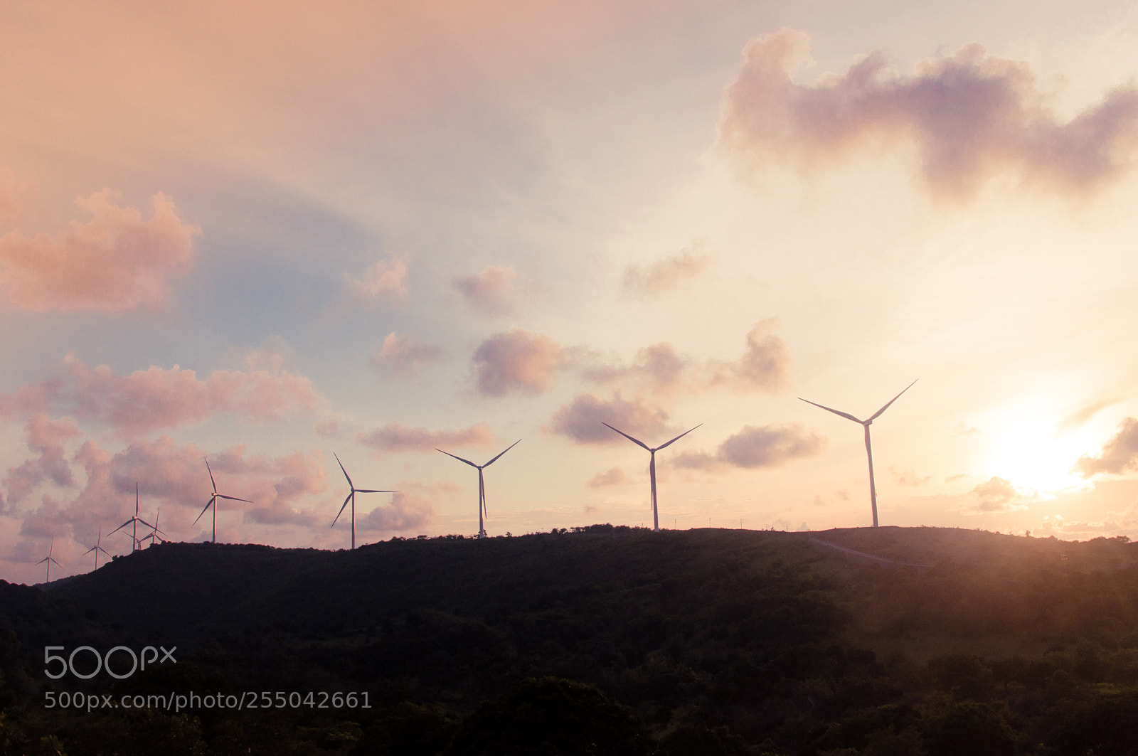 Nikon D90 sample photo. Wind farm photography