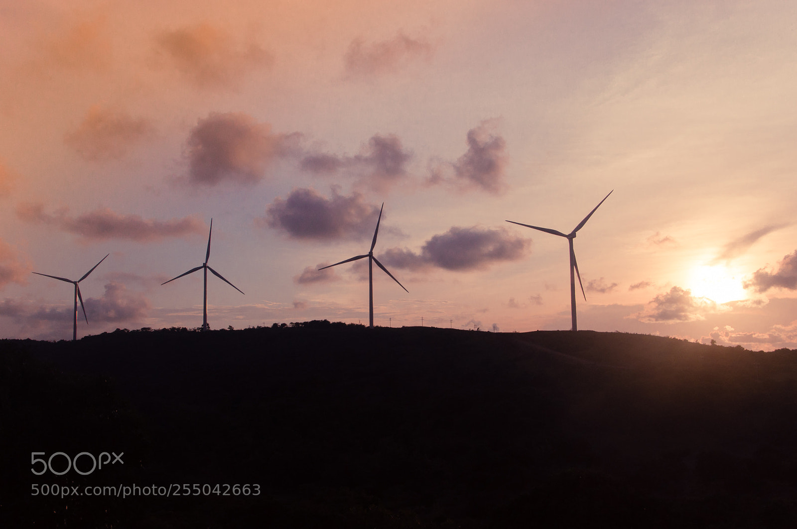 Nikon D90 sample photo. Wind farm photography
