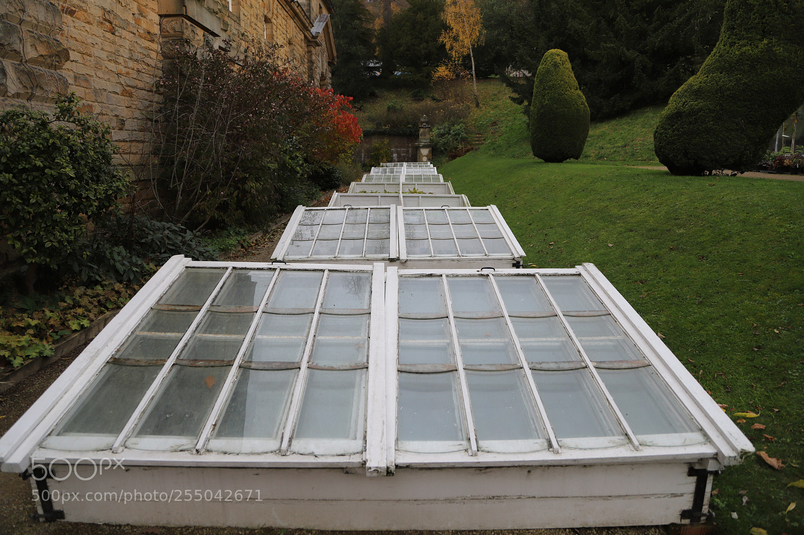 Canon EOS 6D Mark II sample photo. Chatsworth house, bakewell, derbyshire. photography