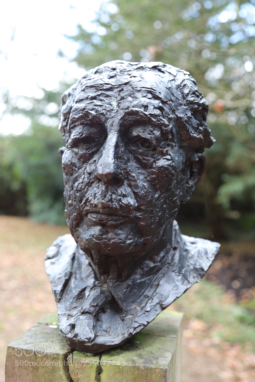 Canon EOS 6D Mark II sample photo. Chatsworth house, bakewell, derbyshire. photography