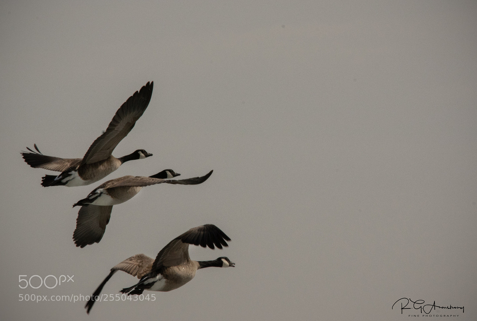 Pentax K-3 II sample photo. Triple stacked photography