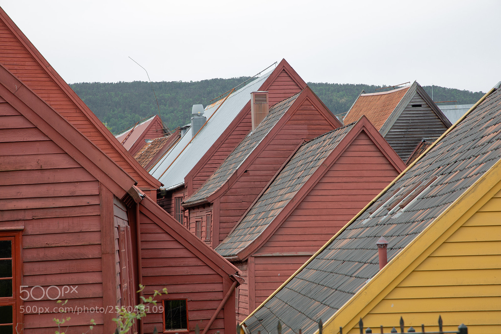 Canon EOS 5DS R sample photo. Roofs photography