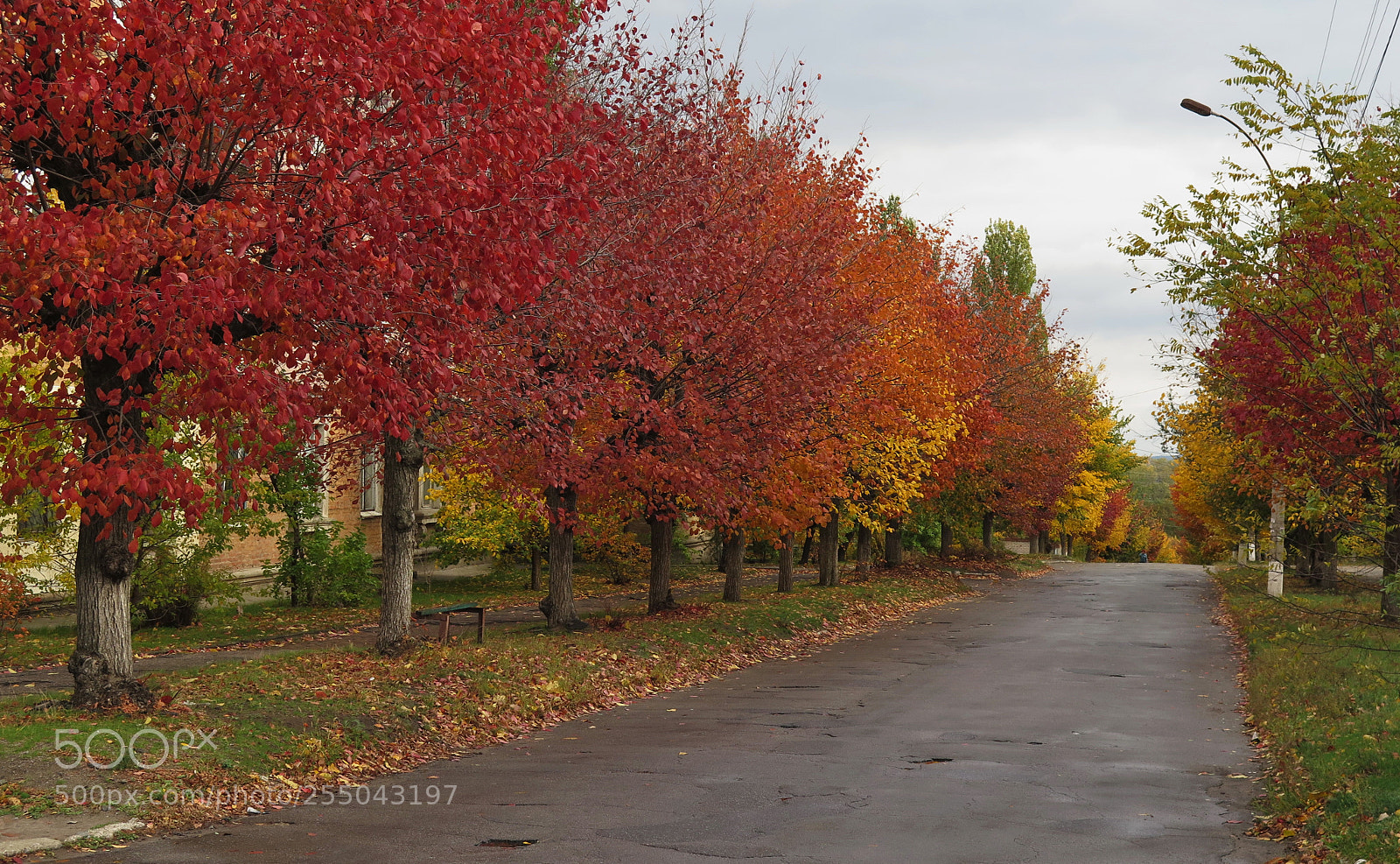 Canon PowerShot G16 sample photo. The palette of autumn photography
