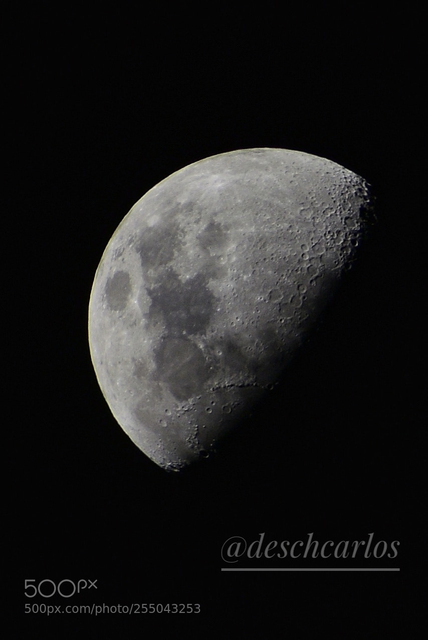 Nikon D5300 sample photo. Untitled photography