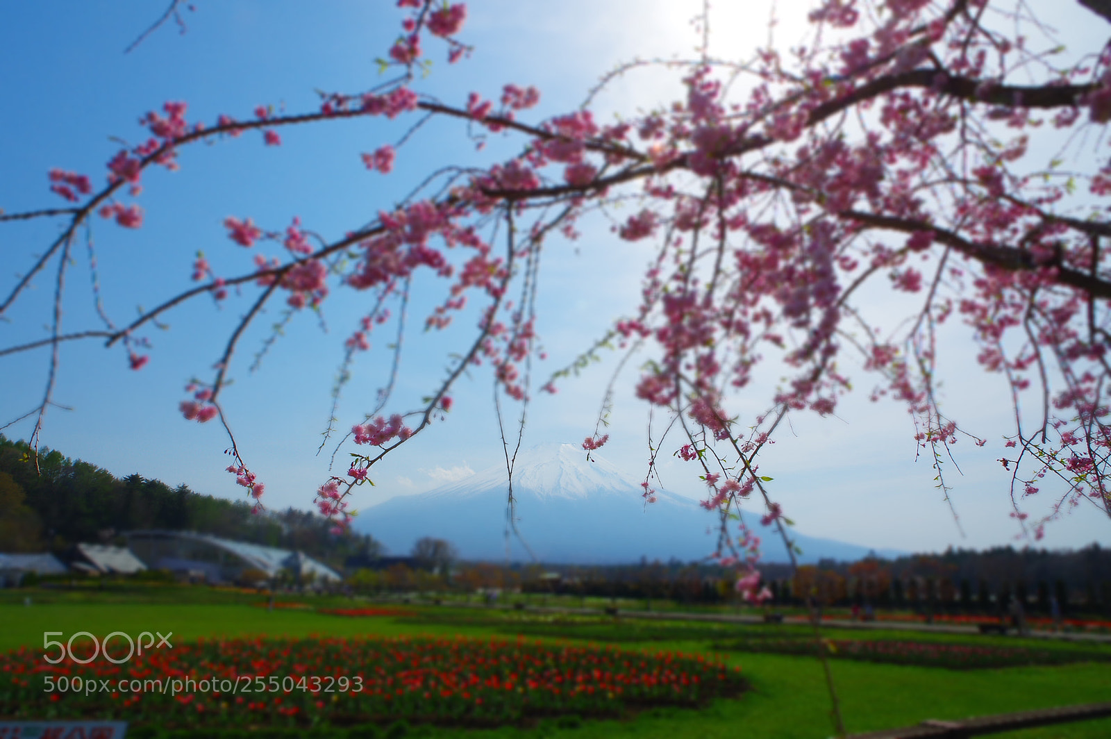 Pentax K-3 II sample photo. Untitled photography