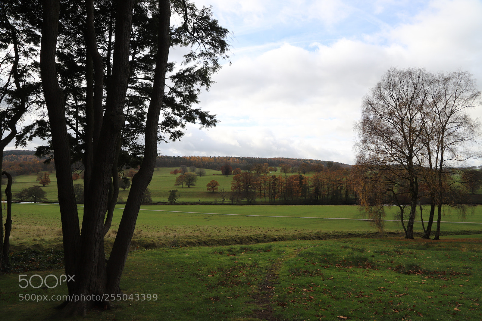 Canon EOS 6D Mark II sample photo. Chatsworth house, bakewell, derbyshire. photography
