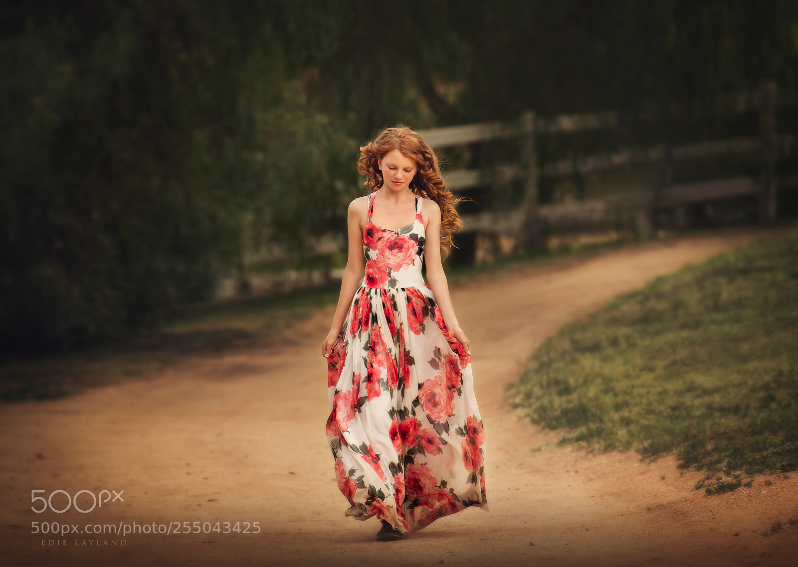 Nikon D850 sample photo. The dress with red photography