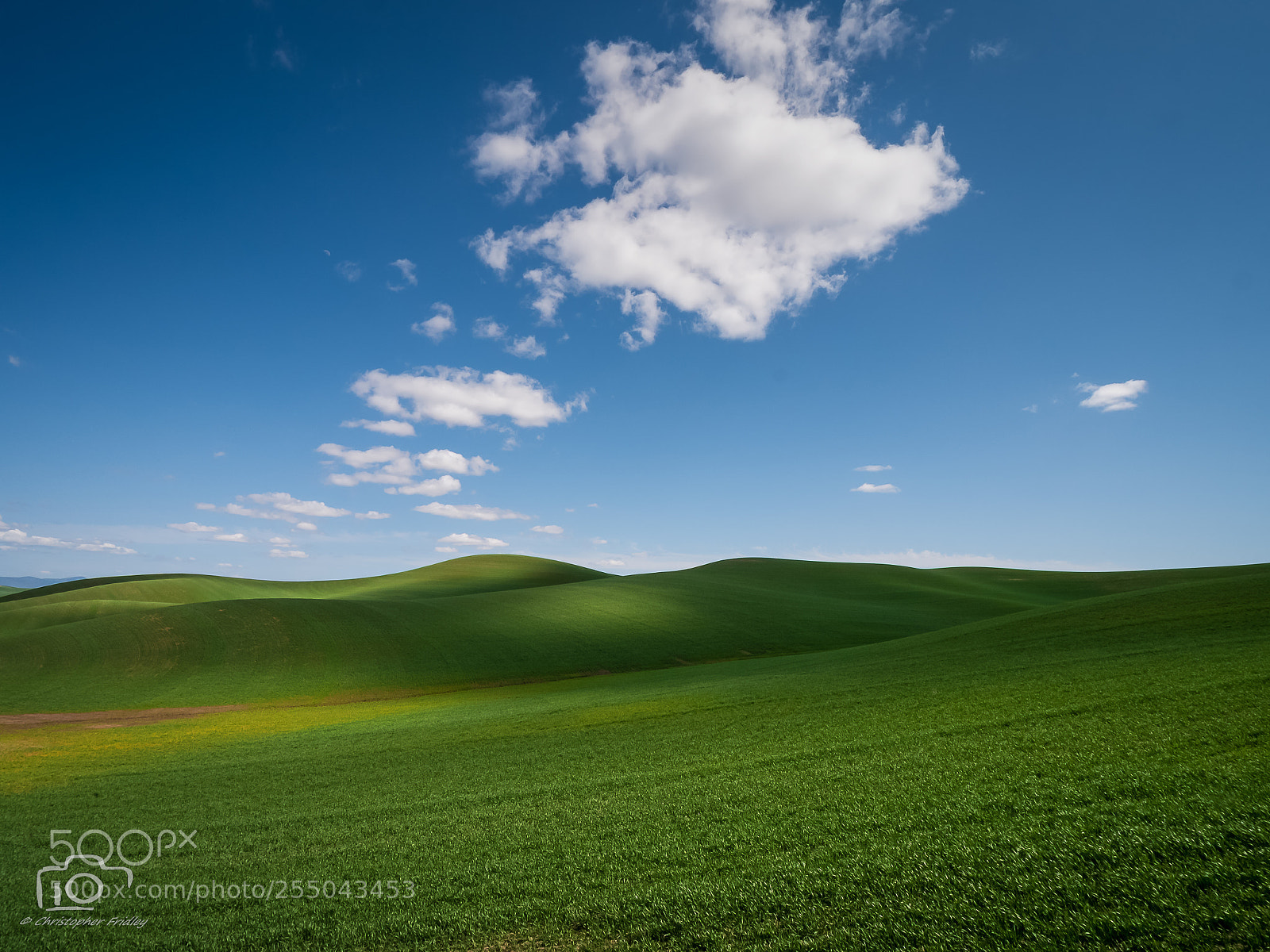 Panasonic Lumix DC-GH5 sample photo. Palouse wheatfields photography
