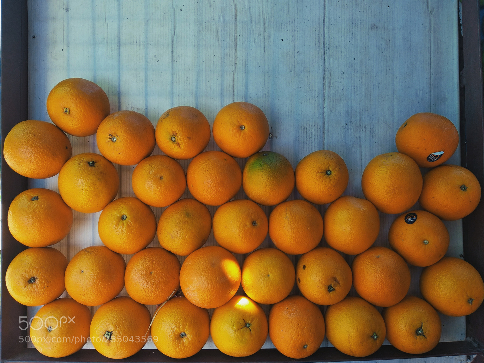 Xiaomi Redmi Note 5 sample photo. Orange oranges photography