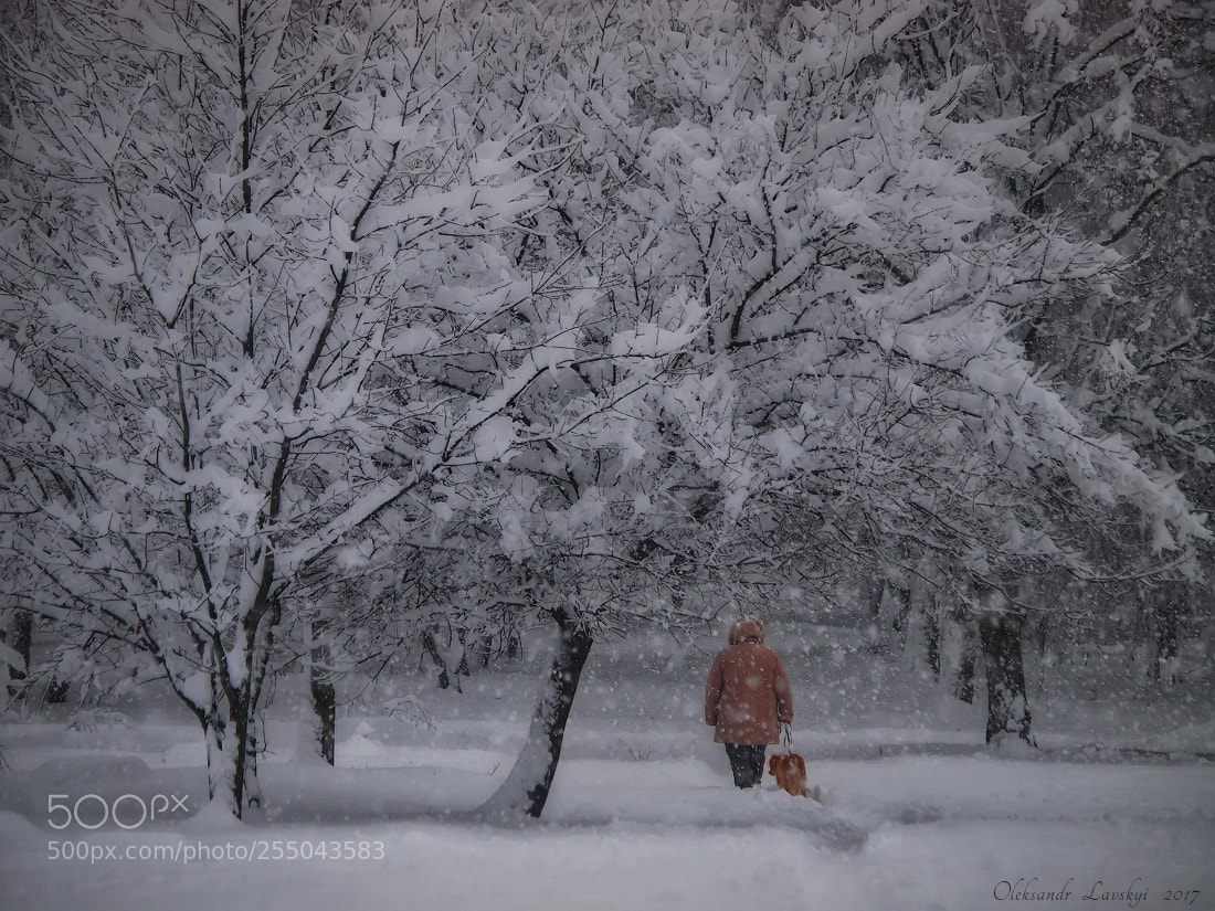 Olympus E-3 sample photo. Snowfall photography