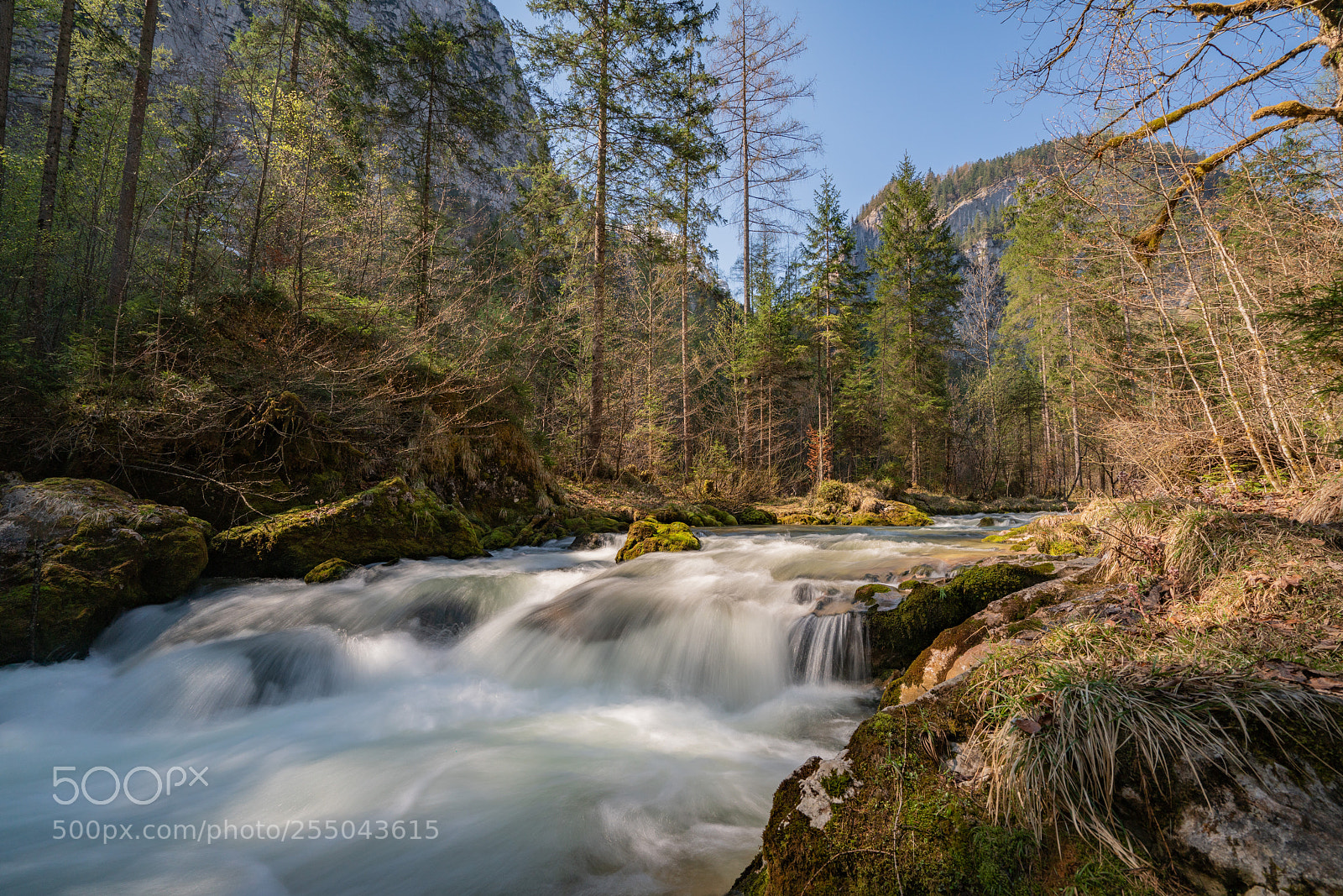Sony a7R II sample photo. Frühling im echerntal photography