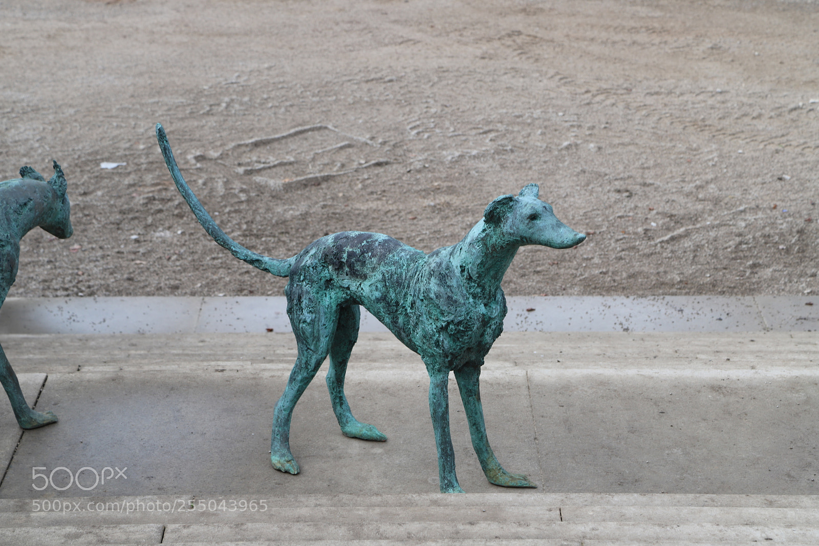 Canon EOS 6D Mark II sample photo. Chatsworth house, bakewell, derbyshire. photography