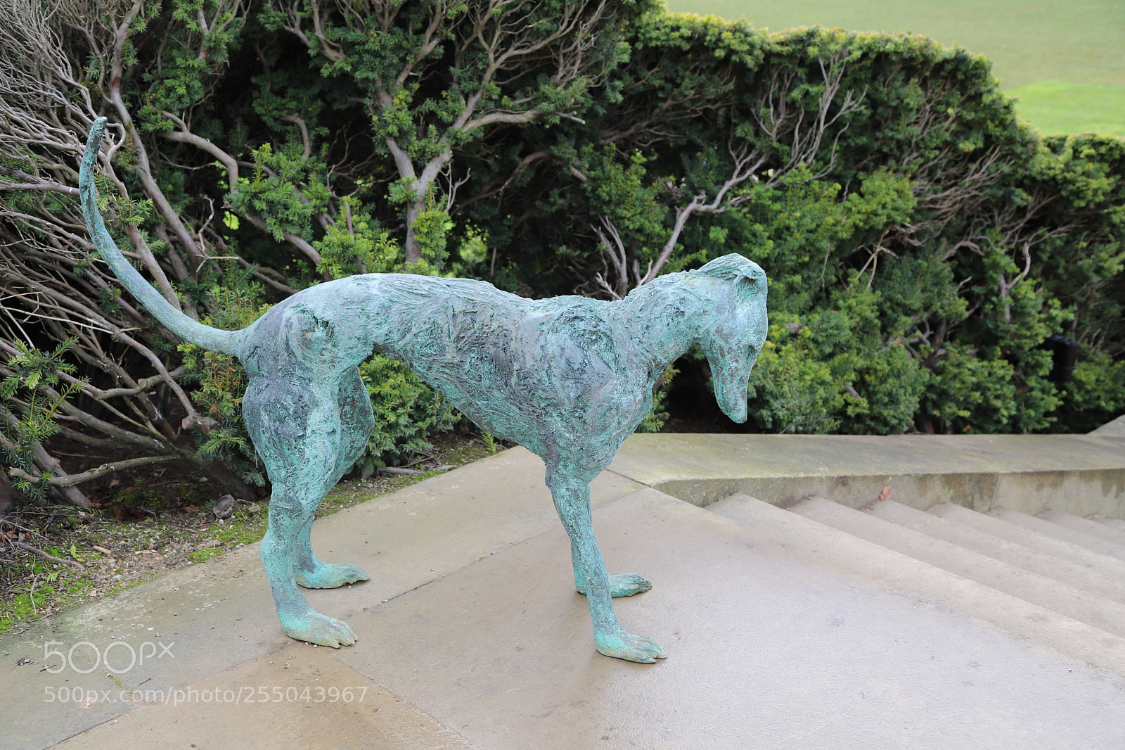 Canon EOS 6D Mark II sample photo. Chatsworth house, bakewell, derbyshire. photography