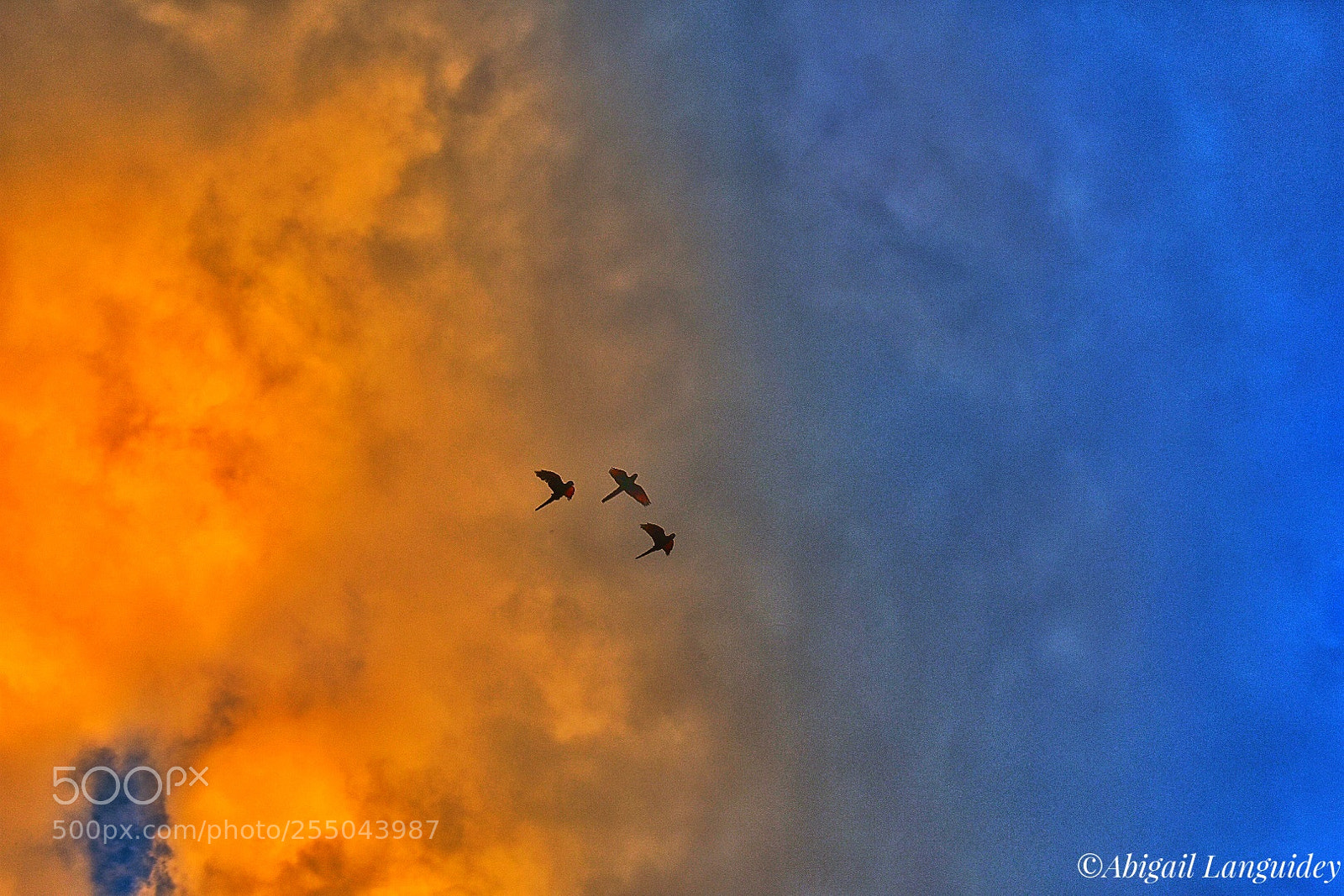 Nikon D3400 sample photo. Atardecer photography