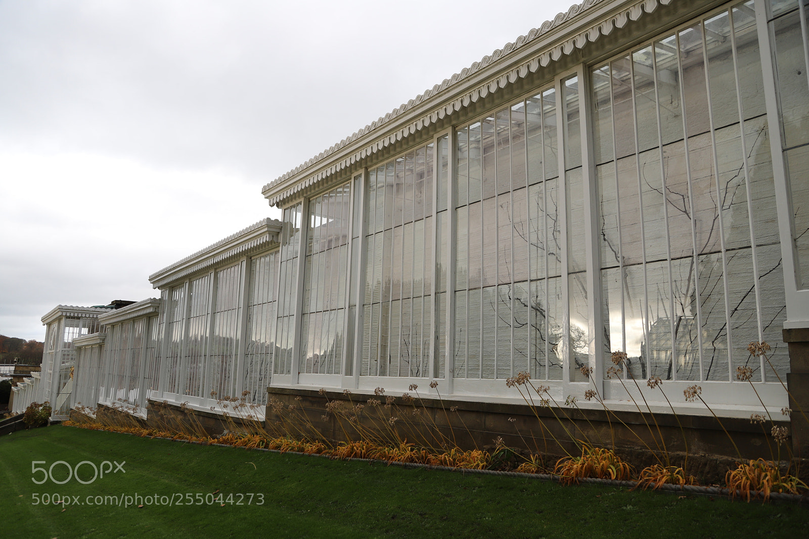 Canon EOS 6D Mark II sample photo. Chatsworth house, bakewell, derbyshire. photography