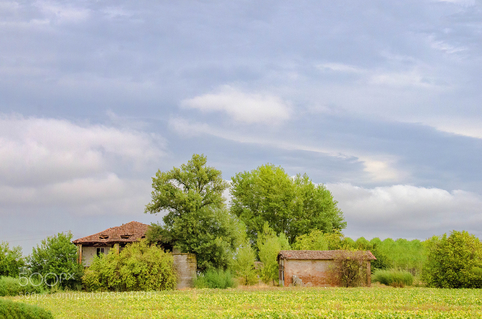 Nikon D7000 sample photo. Tranquility... photography