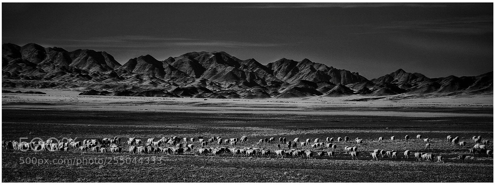 Canon EOS 5D sample photo. Xinjiang china photography