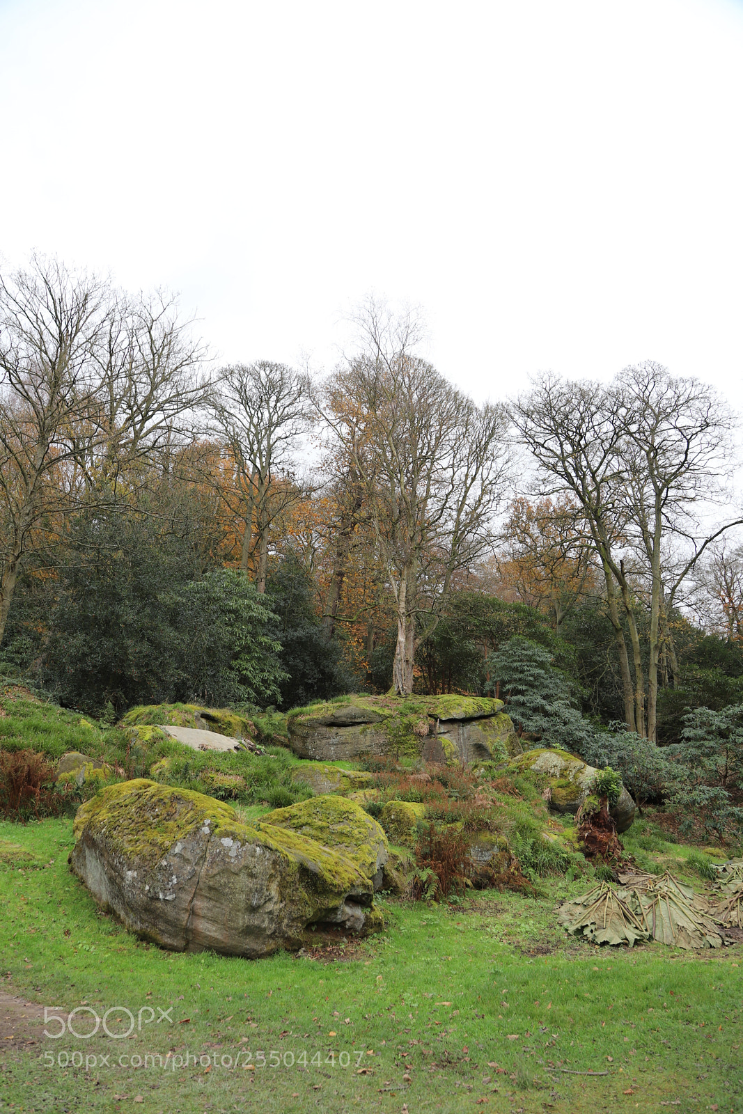 Canon EOS 6D Mark II sample photo. Chatsworth house, bakewell, derbyshire. photography