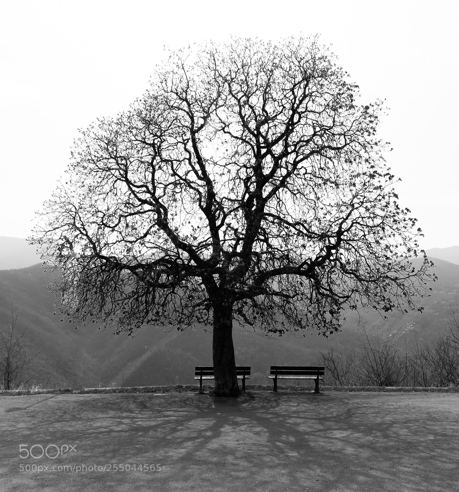 Nikon D7200 sample photo. Porto d'inverno photography