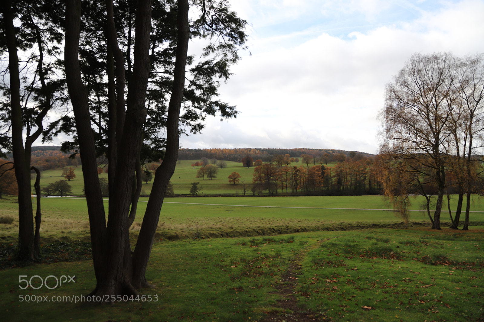 Canon EOS 6D Mark II sample photo. Chatsworth house, bakewell, derbyshire. photography